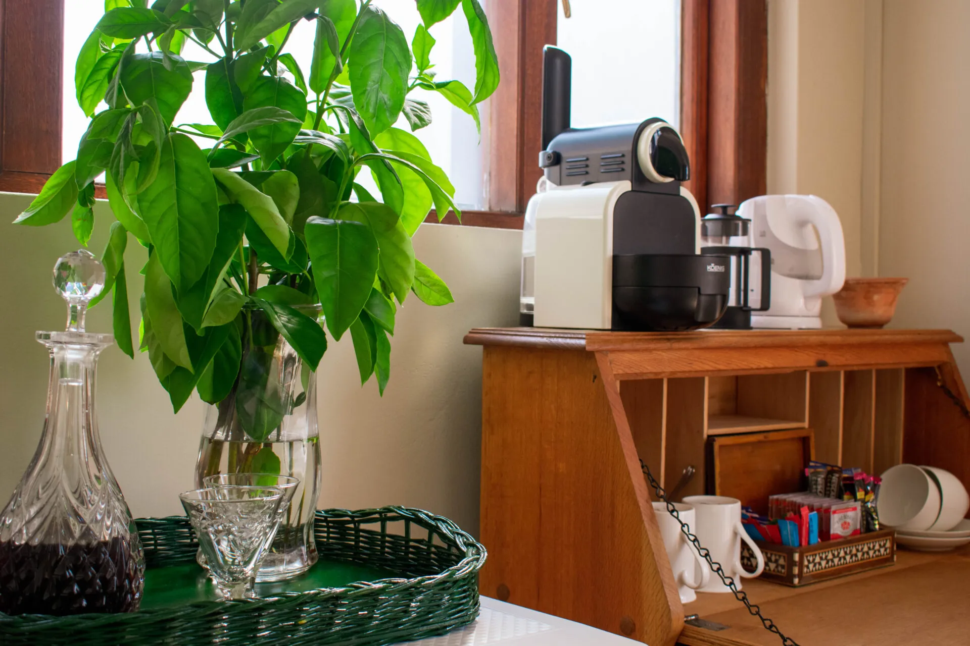 Plant on a tray next to a coffee maker on a wooden desk
