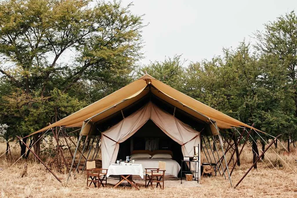 A luxury tent with open flaps surrounded by trees in a savannah setting