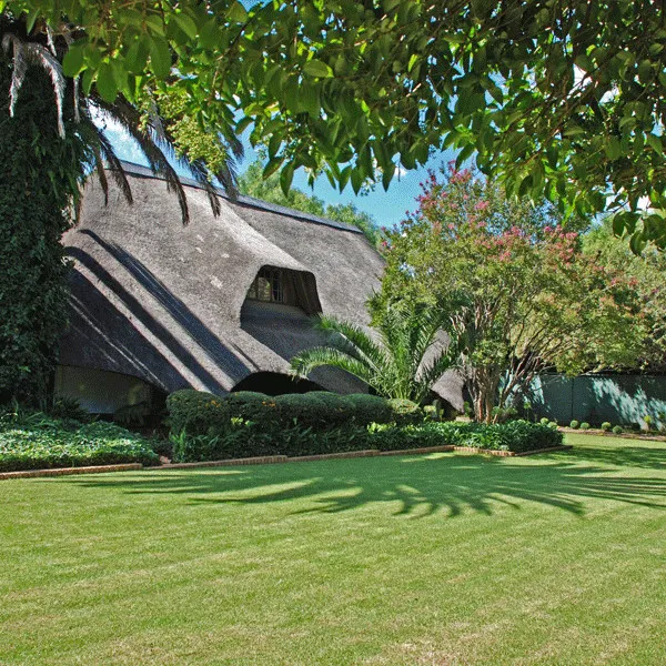 A thatchedroof house surrounded by greenery and trees