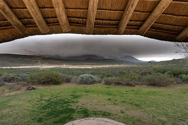 View of a grassy landscape under a thatched roof with dark clouds in distance