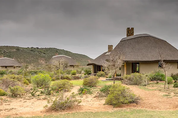 Thatchedroof huts in a dry natural landscape under a cloudy sky