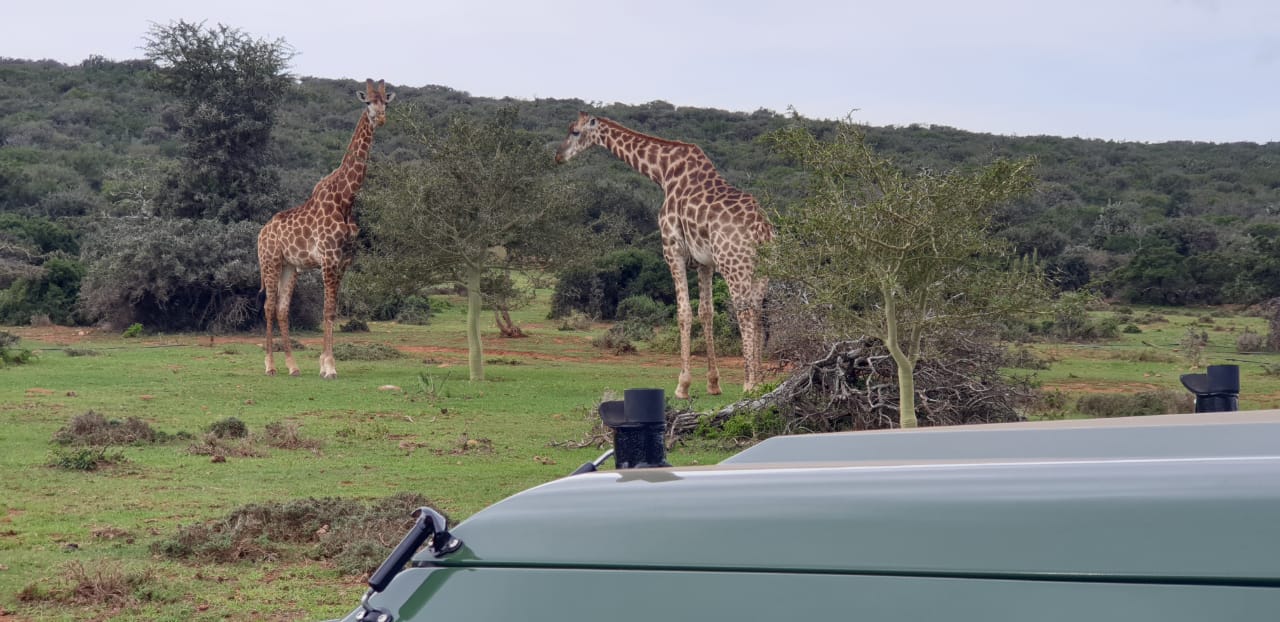 Valley Bushveld Country Lodge