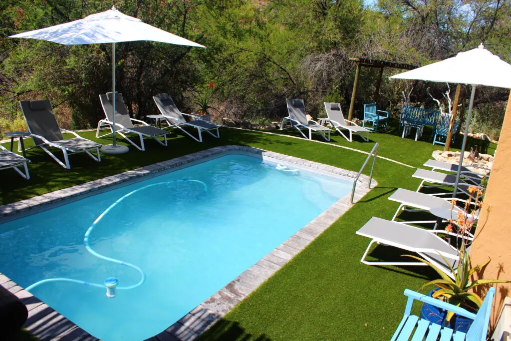 Swimming pool with lounge chairs umbrellas and green surroundings