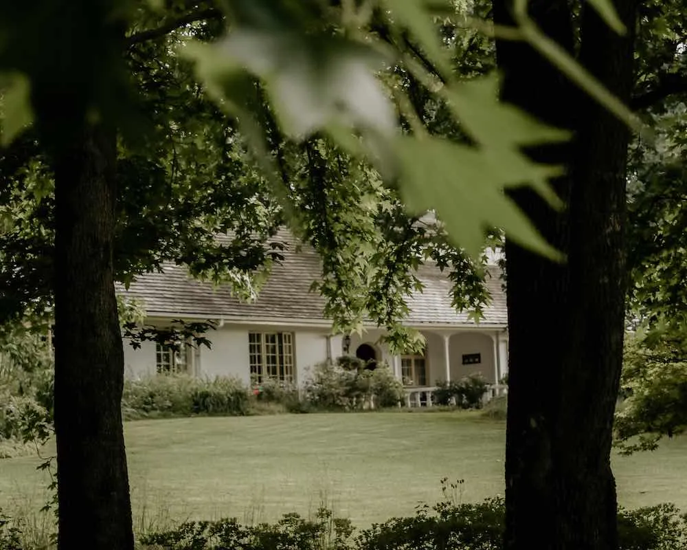 House with a green lawn framed by trees and leaves in the foreground