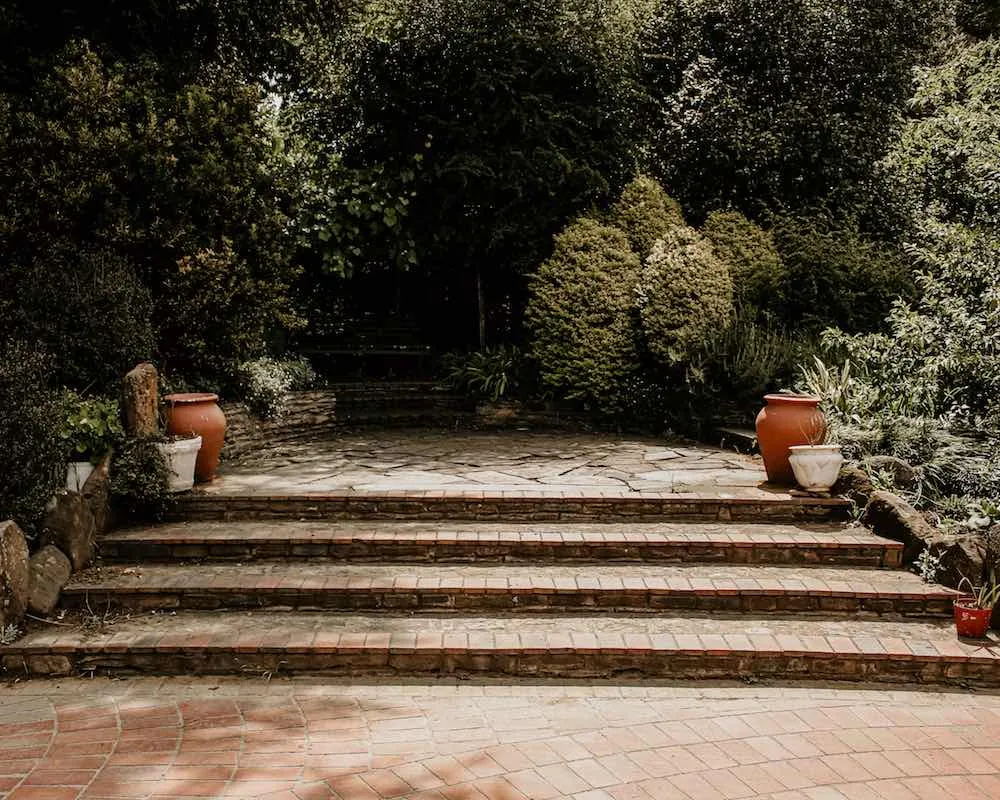 Stone steps in a lush garden with terracotta pots and plants