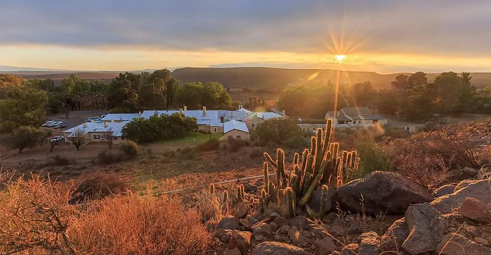 Sunset over a desert landscape with cacti and distant buildings