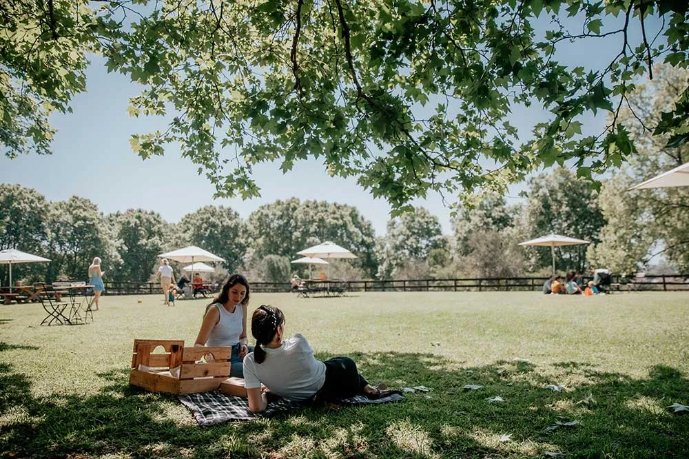 Two people sitting on a blanket under a tree in a park