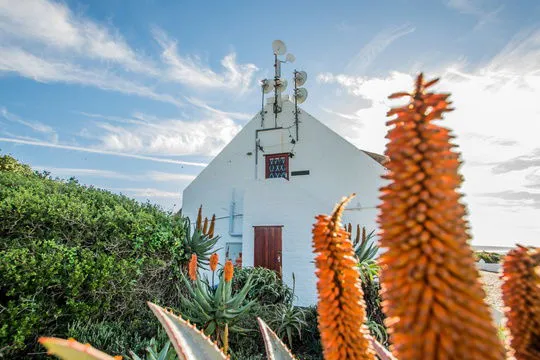 White building with red door surrounded by green plants and orange flowers