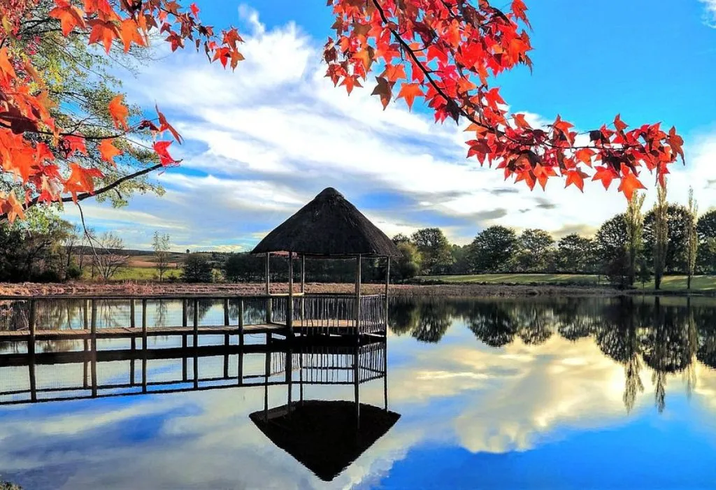 Wooden gazebo on a lake with autumn leaves and a blue sky reflection