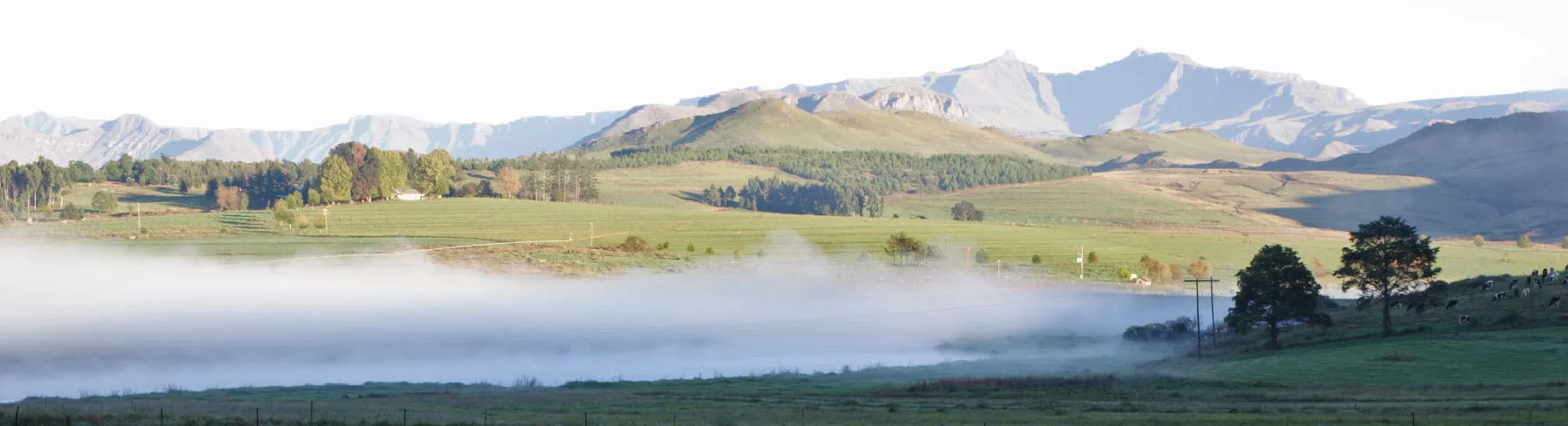 Misty landscape with rolling hills trees and distant mountains