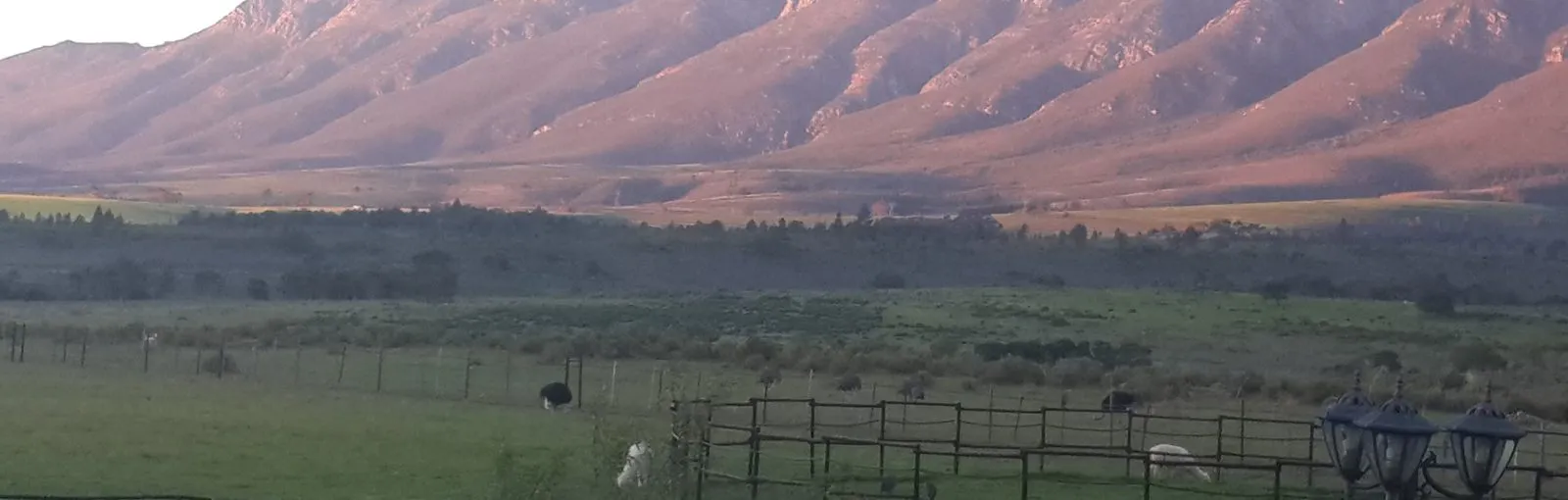 Fynbos Guest Farm & Animal Sanctuary