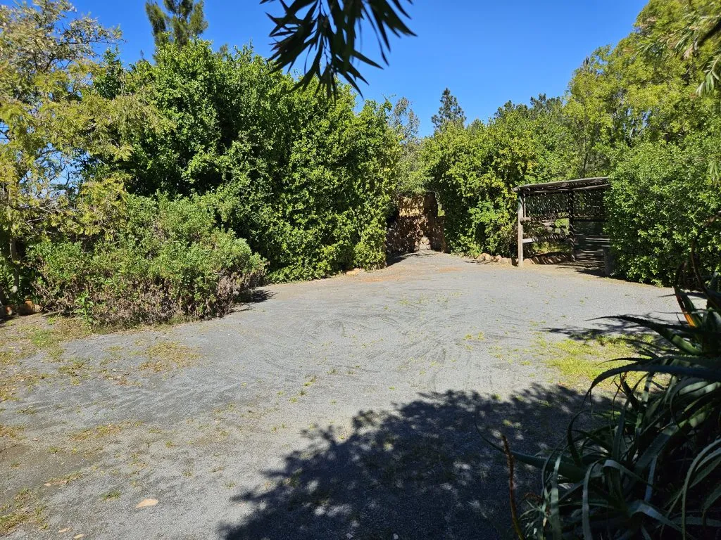 Gravel area surrounded by lush greenery under a clear blue sky