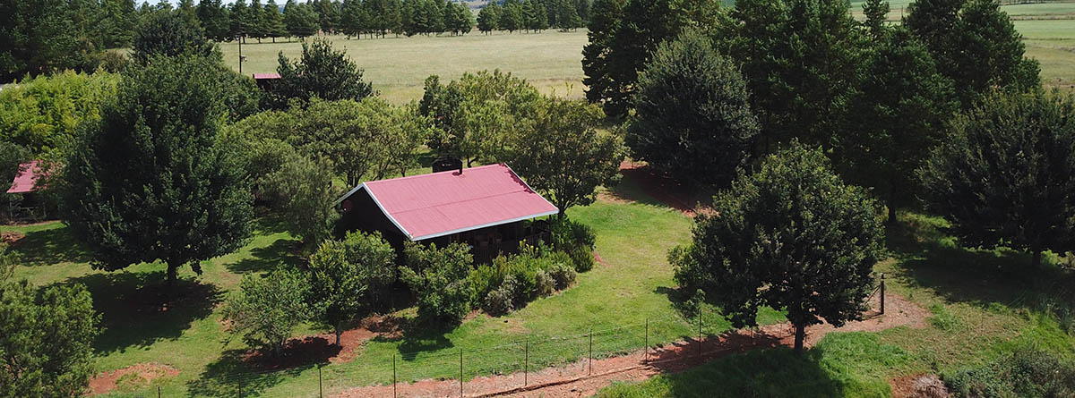 Fancy Free Fly-Fishing Retreat