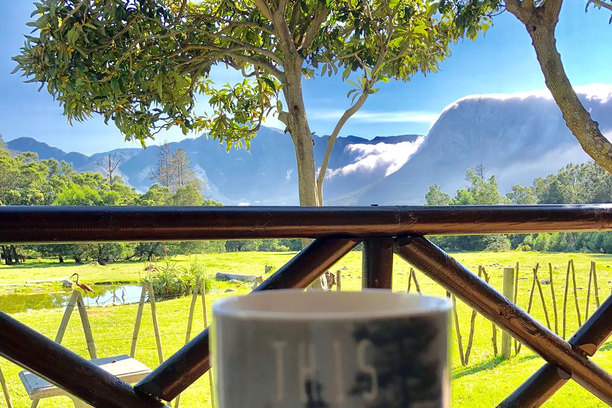 Mug on a balcony with a scenic mountain and tree view in the background