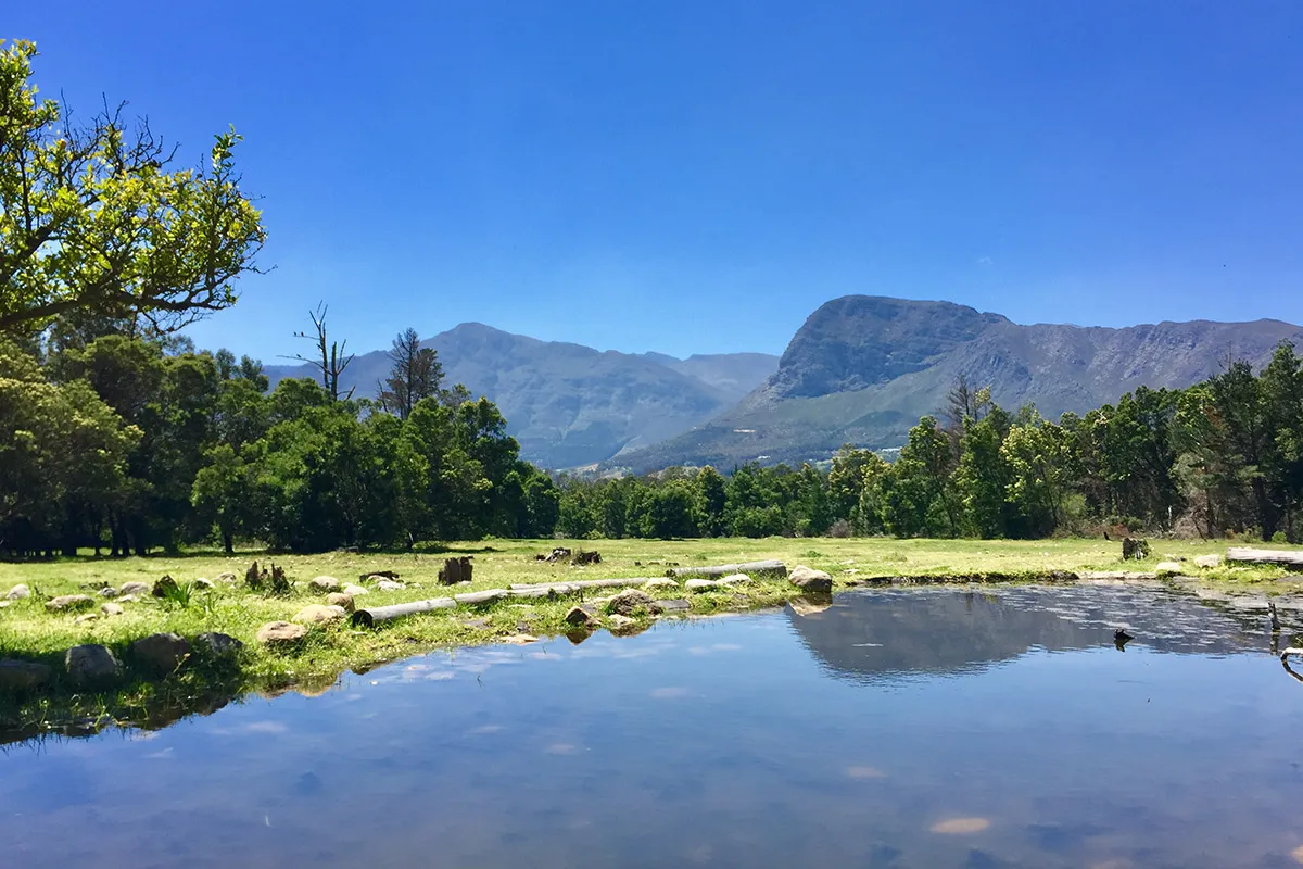 Mountain landscape with trees and a reflective pond under a clear blue sky
