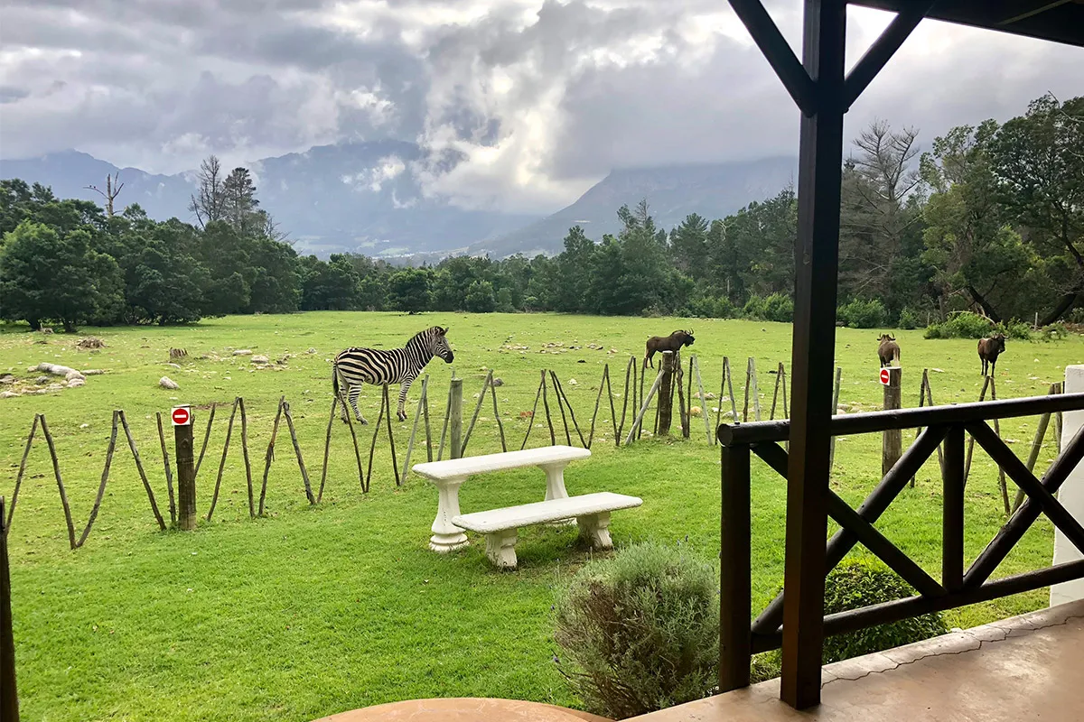 Franschhoek Country Cottages Wildlife Reserve