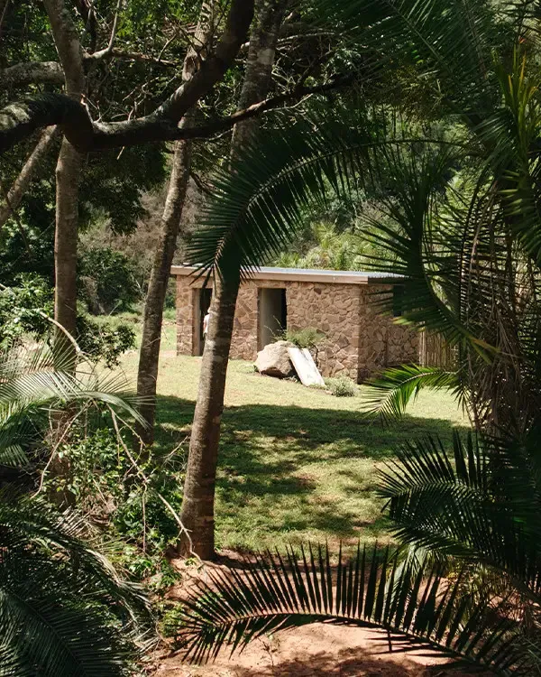 Stone building surrounded by lush greenery in a forest setting