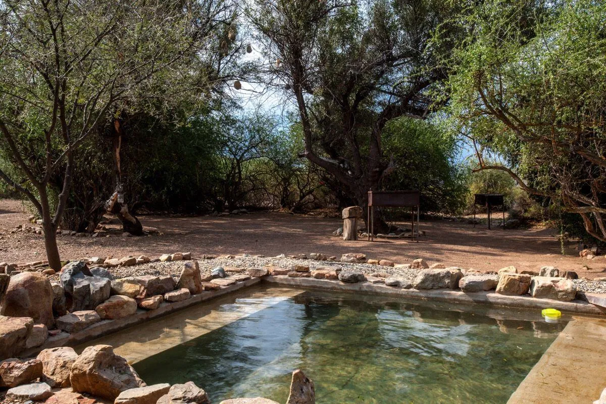 Natural rock pool surrounded by trees and desert landscape