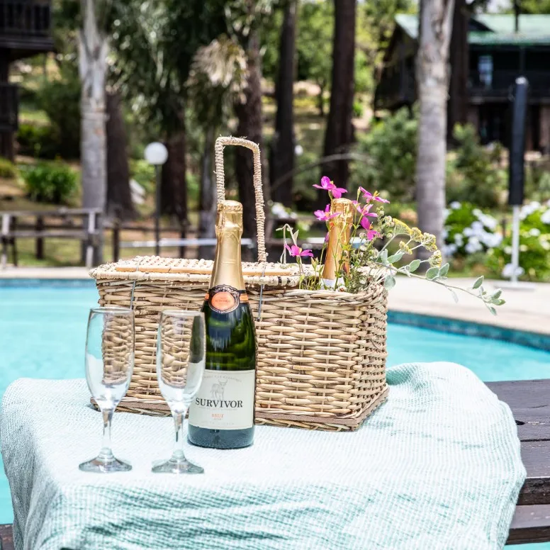Two wine glasses and a bottle of champagne on a picnic blanket by a pool