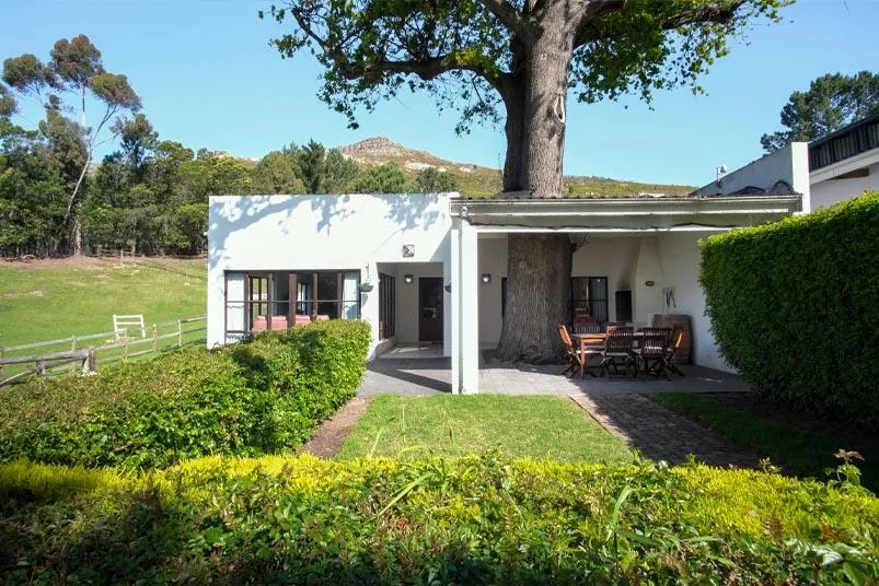 White cottage with large tree green lawn and bushes in a rural setting