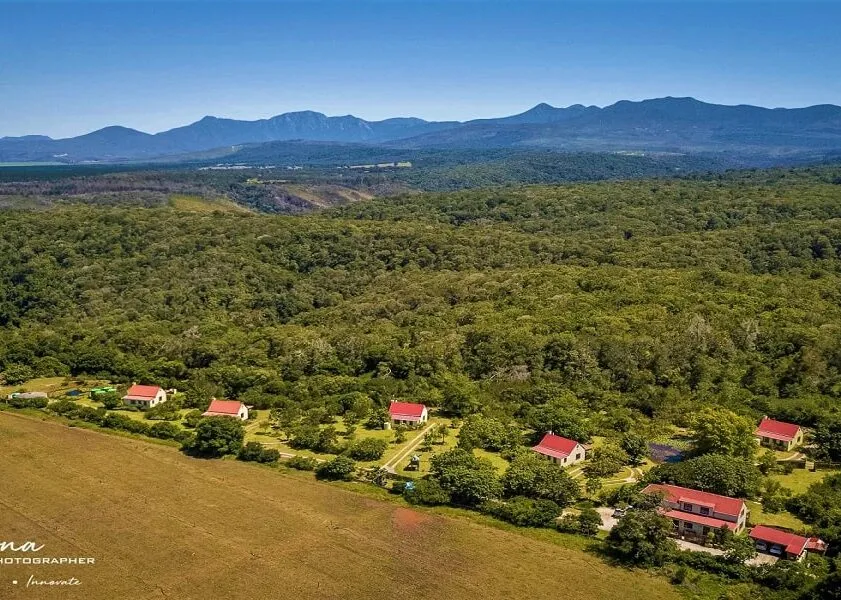 Aerial view of houses in a lush forest with mountains in the background