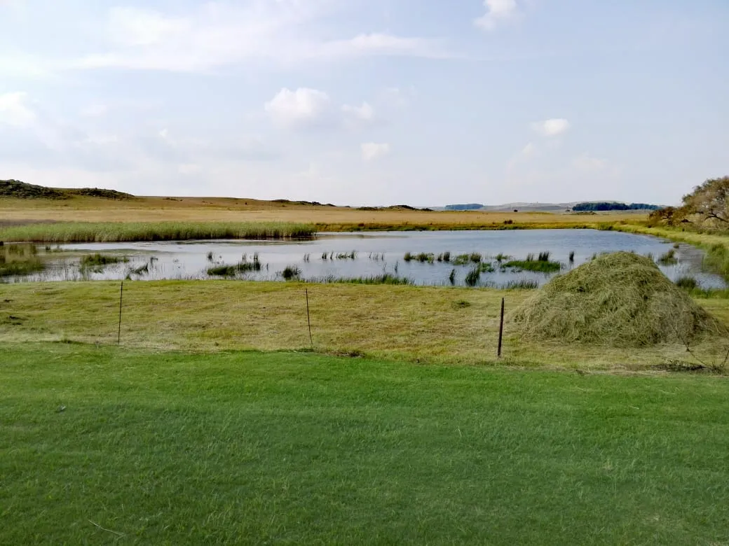 A pond in a grassy field with a haystack and fence