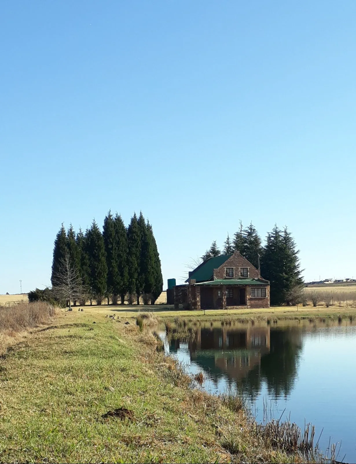 House by a pond with trees in the background under a clear blue sky