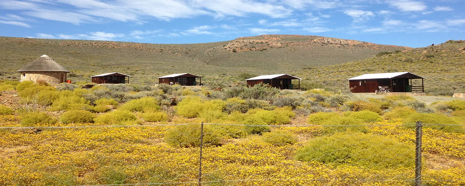Several small cabins in a dry grassy landscape with hills in the background