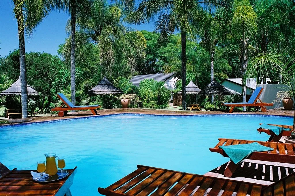Tropical resort with pool lounge chairs and palm trees