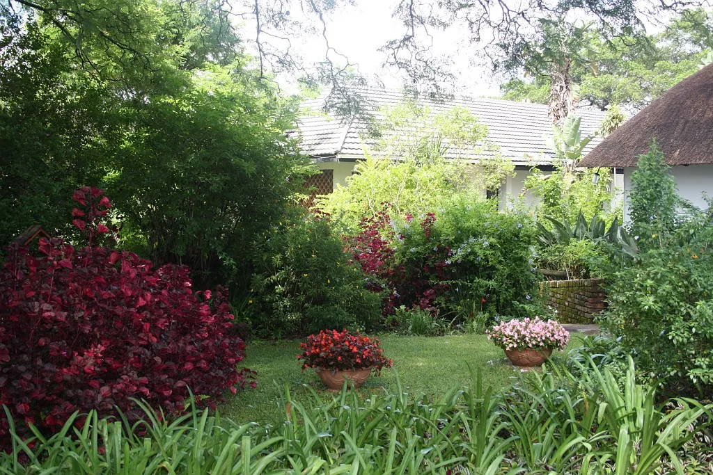 Lush garden with various plants and flowers house in the background