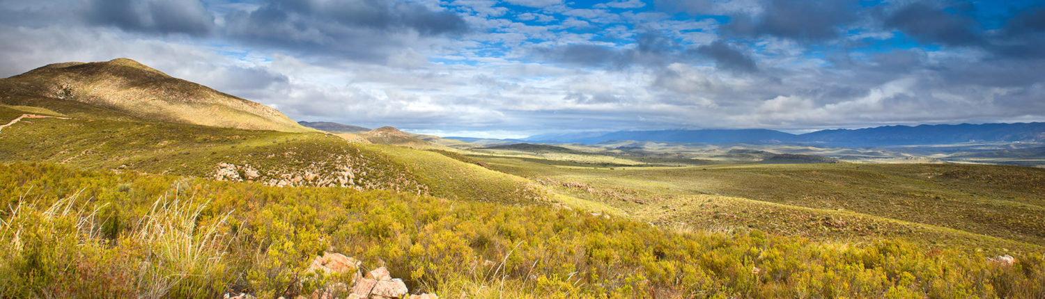 Kouga View Game Farm