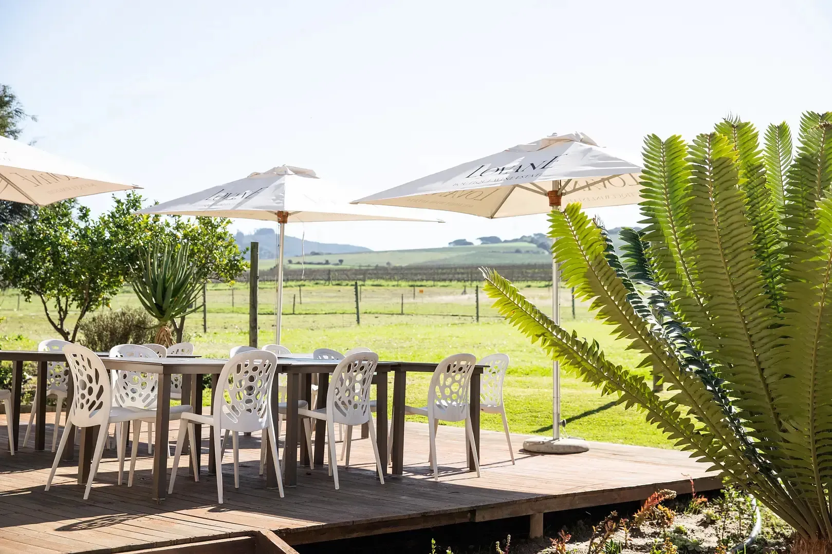 Outdoor dining area with white chairs tables and umbrellas lush greenery in background