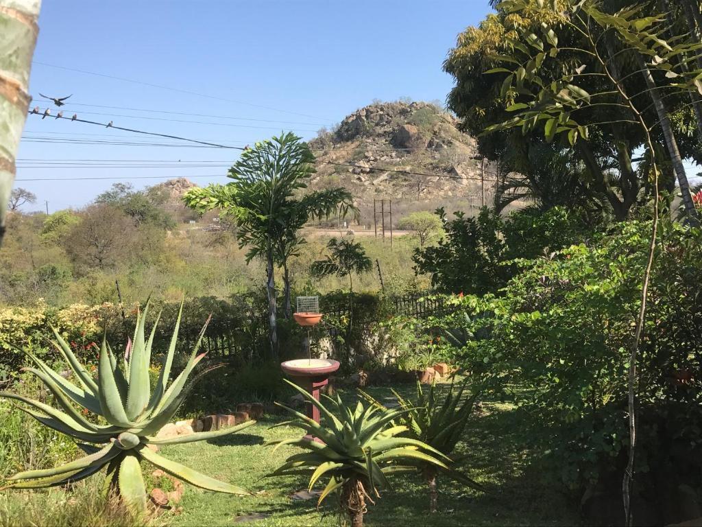 Loerie Lodge in Phalaborwa 3