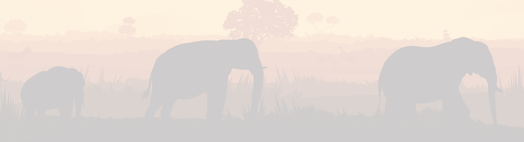 Elephants Footprint Lodge