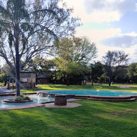Swimming pool with stone features in a lush green park setting
