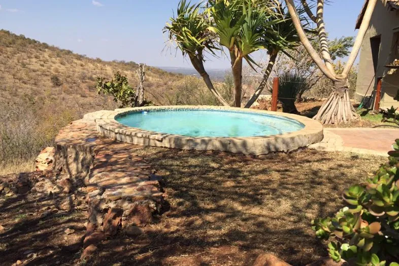 Small circular pool in a garden with surrounding trees and rocky landscape