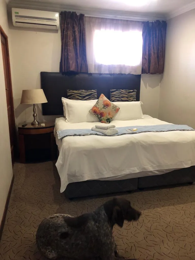 Dog sitting on carpeted floor in front of a neatly made bed with pillows