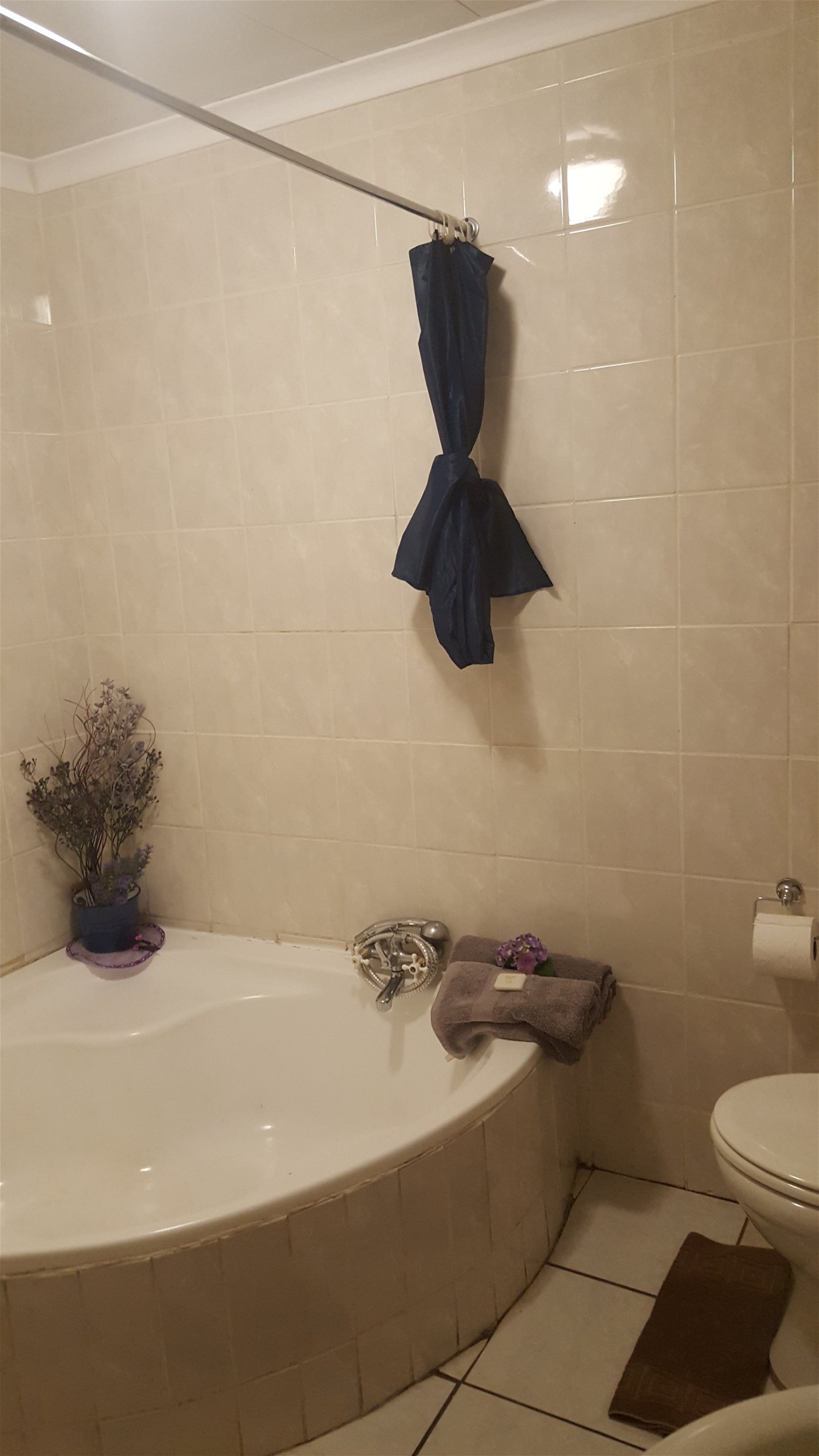 Amberlight Guest Accommodation image 4