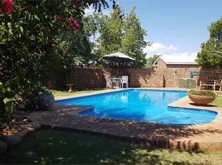 Swimming pool in a garden with plants trees and a brick wall