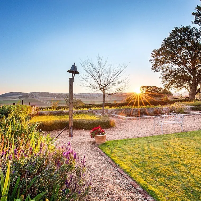 Garden with plants pathway bench and sunset in the background