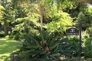 Tropical garden with a sign reading KALPSE BEAM and lush green plants