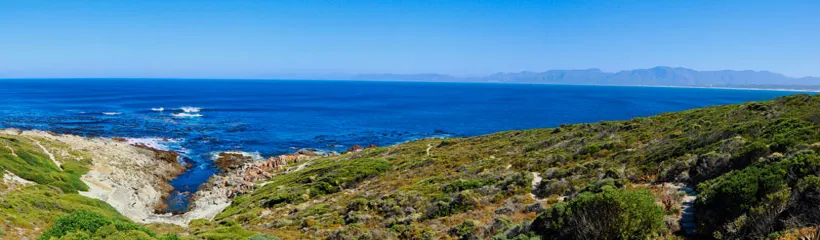 Panoramic view of ocean with rocky coastline and green vegetation