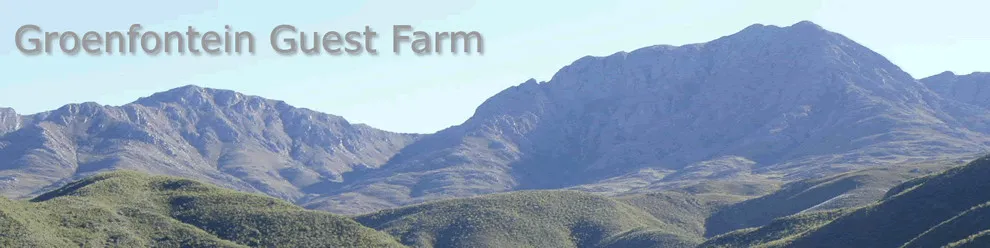 Landscape of Groenfontein Guest Farm with rolling hills and mountains in the background