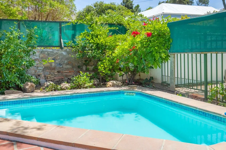Small swimming pool surrounded by greenery and stone wall in a backyard