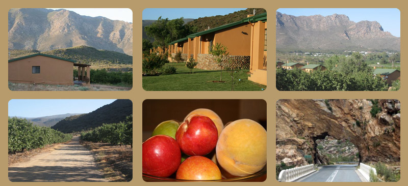 Montagu Fruit Farm Cottages image 3