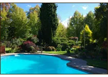 Swimming pool surrounded by lush greenery and trees on a sunny day