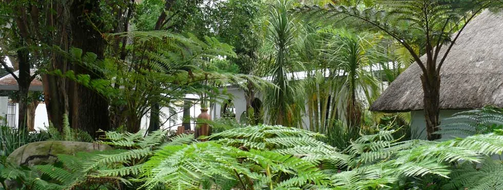 Lush tropical garden with ferns and thatchedroof huts in the background