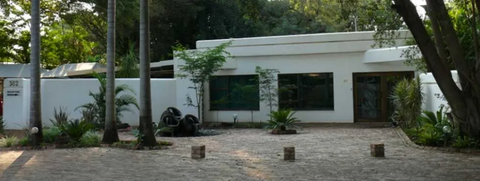 Modern white house with large windows surrounded by trees and plants