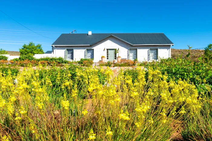 White house with a grey roof surrounded by yellow flowers and greenery