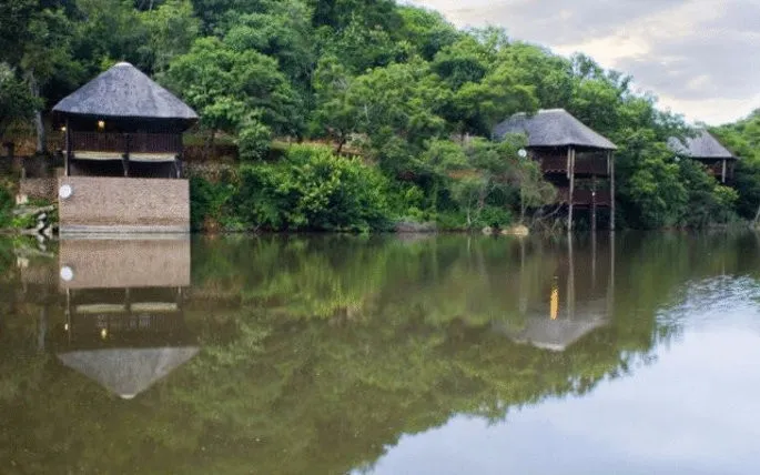 Thatched huts on stilts by a lake with lush green forest background